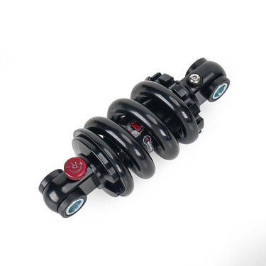 Adjustable Hydraulic Suspension for Daytona